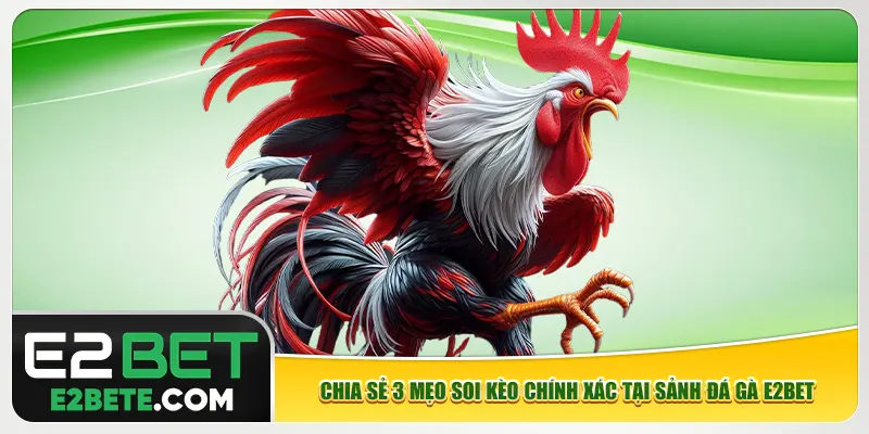 Chia sẻ 3 mẹo soi kèo chính xác tại sảnh đá gà e2bet Chia sẻ 3 mẹo soi kèo chính xác tại sảnh đá gà e2bet