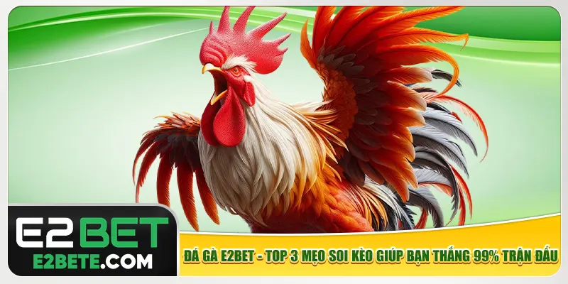 Đá Gà E2bet - Top 3 Mẹo Soi Kèo Giúp Bạn Thắng 99% Trận Đấu