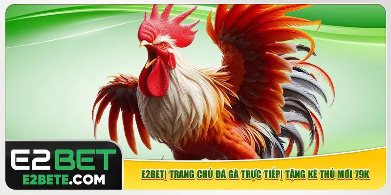Trang Chủ E2bet