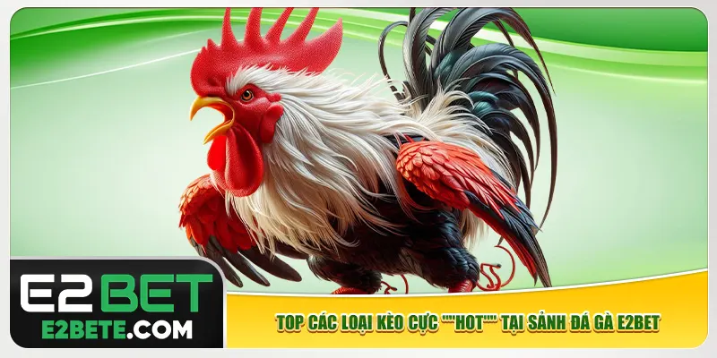 Top các loại kèo cực "HOT" tại sảnh đá gà e2bet Top các loại kèo cực "HOT" tại sảnh đá gà e2bet